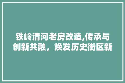 铁岭清河老房改造,传承与创新共融，焕发历史街区新活力