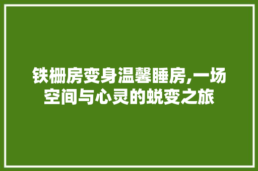 铁栅房变身温馨睡房,一场空间与心灵的蜕变之旅 居家维修