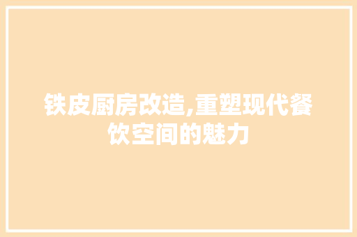 铁皮厨房改造,重塑现代餐饮空间的魅力