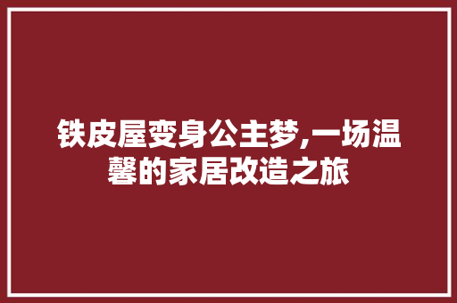 铁皮屋变身公主梦,一场温馨的家居改造之旅