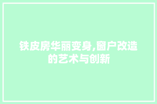 铁皮房华丽变身,窗户改造的艺术与创新