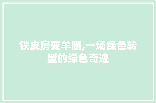 铁皮房变羊圈,一场绿色转型的绿色奇迹