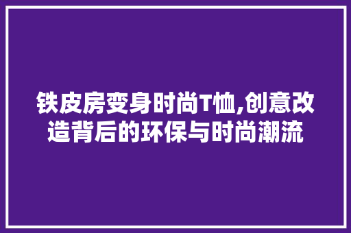 铁皮房变身时尚T恤,创意改造背后的环保与时尚潮流