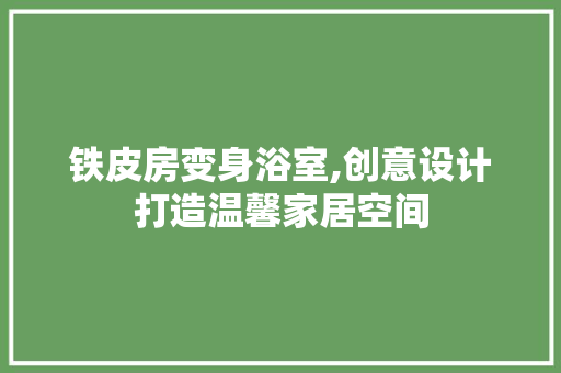 铁皮房变身浴室,创意设计打造温馨家居空间