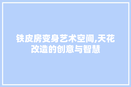 铁皮房变身艺术空间,天花改造的创意与智慧 居家维修