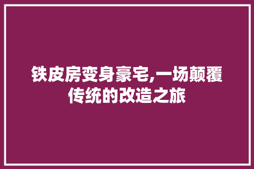 铁皮房变身豪宅,一场颠覆传统的改造之旅
