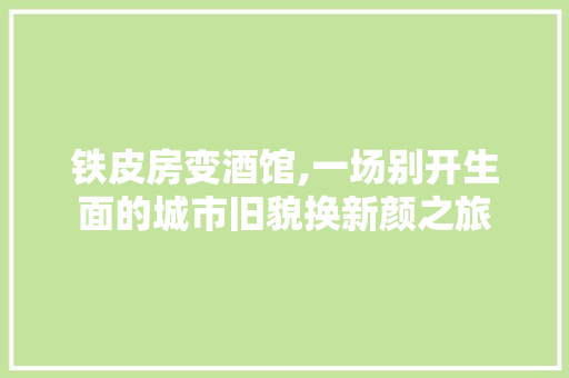 铁皮房变酒馆,一场别开生面的城市旧貌换新颜之旅