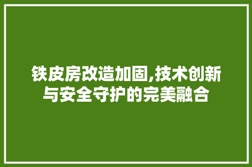 铁皮房改造加固,技术创新与安全守护的完美融合 墙体维修
