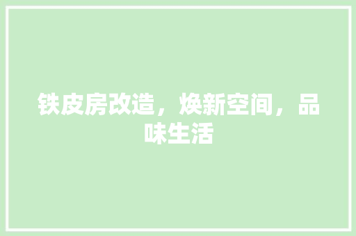 铁皮房改造，焕新空间，品味生活