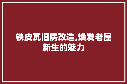 铁皮瓦旧房改造,焕发老屋新生的魅力