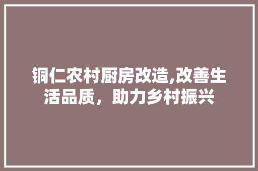 铜仁农村厨房改造,改善生活品质，助力乡村振兴