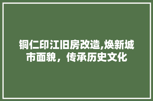 铜仁印江旧房改造,焕新城市面貌，传承历史文化
