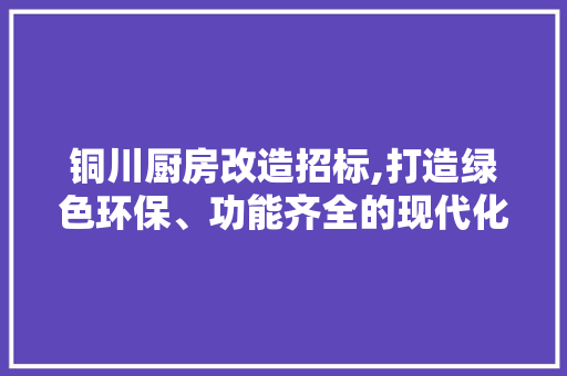 铜川厨房改造招标,打造绿色环保、功能齐全的现代化厨房