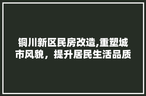 铜川新区民房改造,重塑城市风貌，提升居民生活品质