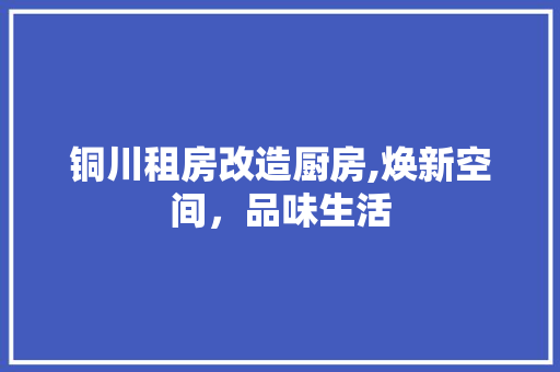铜川租房改造厨房,焕新空间，品味生活