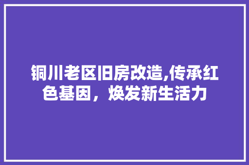 铜川老区旧房改造,传承红色基因，焕发新生活力