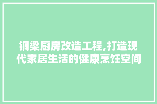 铜梁厨房改造工程,打造现代家居生活的健康烹饪空间