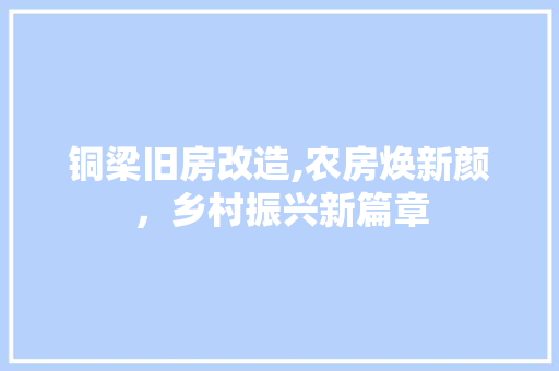 铜梁旧房改造,农房焕新颜，乡村振兴新篇章