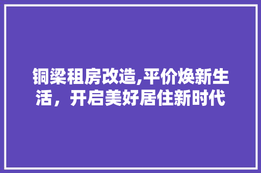 铜梁租房改造,平价焕新生活，开启美好居住新时代