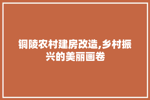 铜陵农村建房改造,乡村振兴的美丽画卷