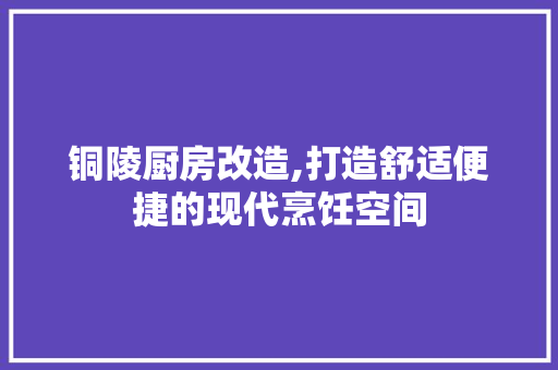 铜陵厨房改造,打造舒适便捷的现代烹饪空间