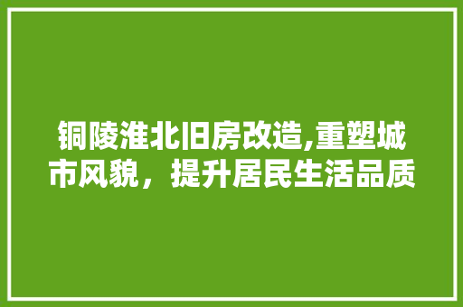 铜陵淮北旧房改造,重塑城市风貌，提升居民生活品质