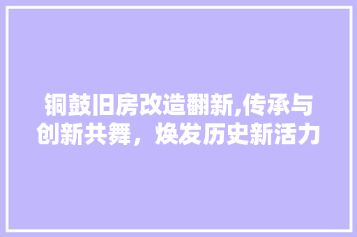 铜鼓旧房改造翻新,传承与创新共舞，焕发历史新活力
