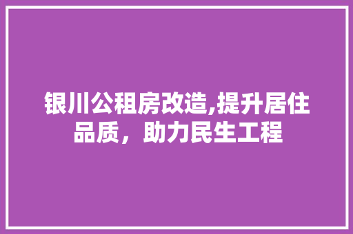 银川公租房改造,提升居住品质，助力民生工程