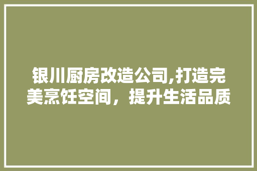 银川厨房改造公司,打造完美烹饪空间，提升生活品质