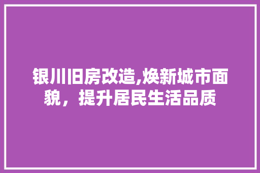 银川旧房改造,焕新城市面貌，提升居民生活品质