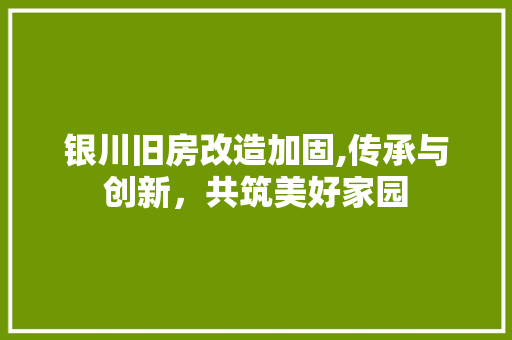 银川旧房改造加固,传承与创新，共筑美好家园