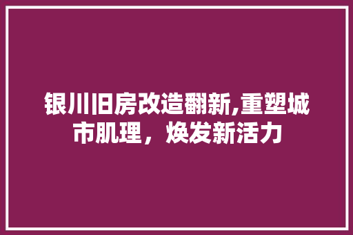 银川旧房改造翻新,重塑城市肌理，焕发新活力