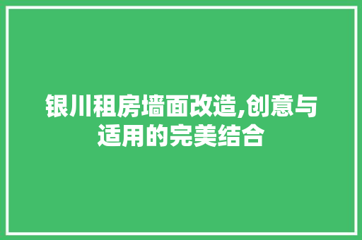 银川租房墙面改造,创意与适用的完美结合