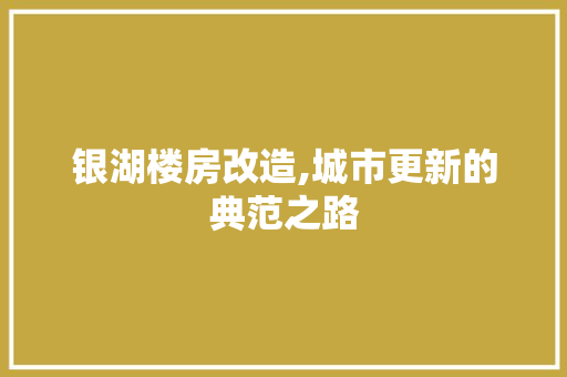 银湖楼房改造,城市更新的典范之路