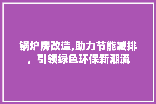 锅炉房改造,助力节能减排，引领绿色环保新潮流