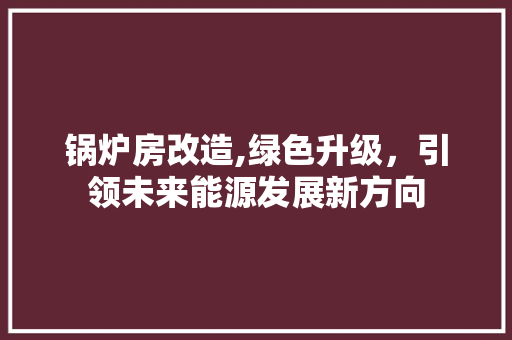 锅炉房改造,绿色升级，引领未来能源发展新方向