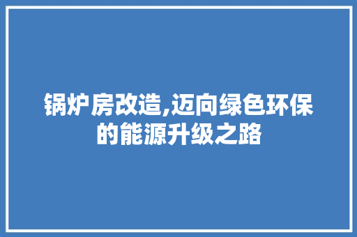 锅炉房改造,迈向绿色环保的能源升级之路