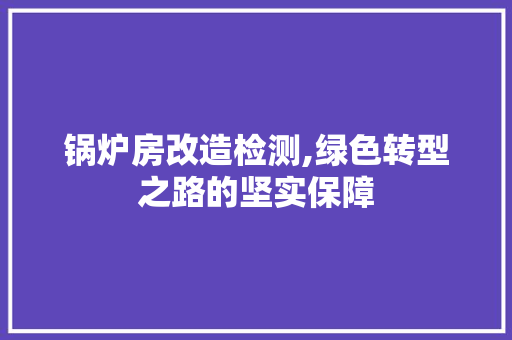 锅炉房改造检测,绿色转型之路的坚实保障