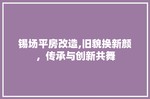 锡场平房改造,旧貌换新颜，传承与创新共舞
