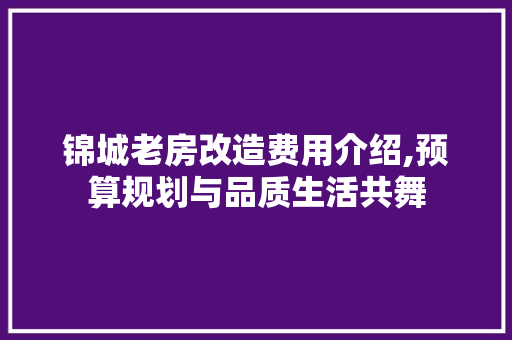 锦城老房改造费用介绍,预算规划与品质生活共舞