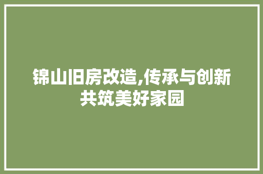 锦山旧房改造,传承与创新共筑美好家园