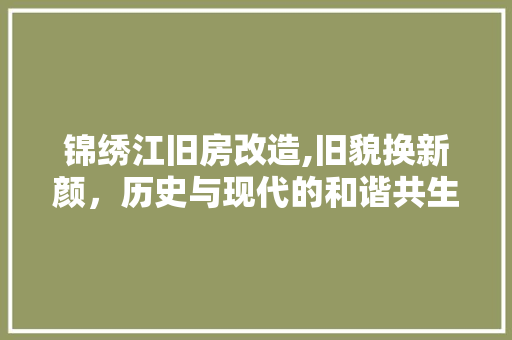 锦绣江旧房改造,旧貌换新颜，历史与现代的和谐共生 墙体维修