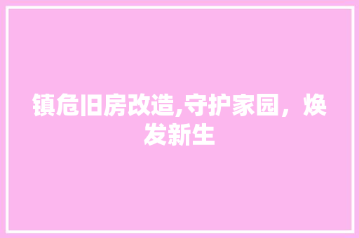 镇危旧房改造,守护家园，焕发新生