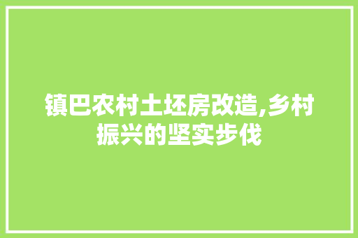 镇巴农村土坯房改造,乡村振兴的坚实步伐
