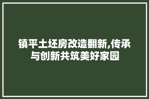 镇平土坯房改造翻新,传承与创新共筑美好家园