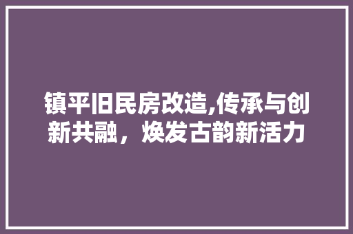 镇平旧民房改造,传承与创新共融，焕发古韵新活力