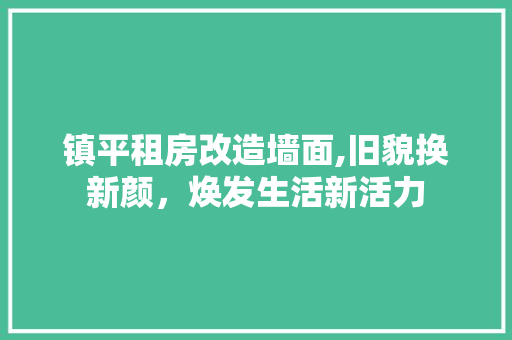 镇平租房改造墙面,旧貌换新颜，焕发生活新活力