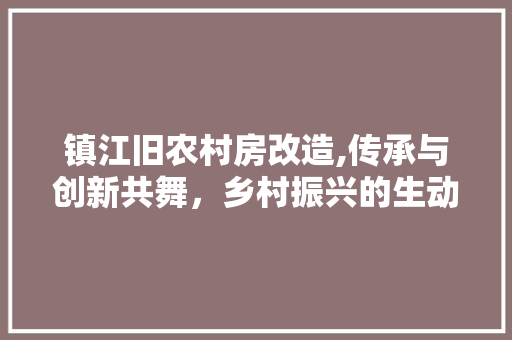 镇江旧农村房改造,传承与创新共舞，乡村振兴的生动方法