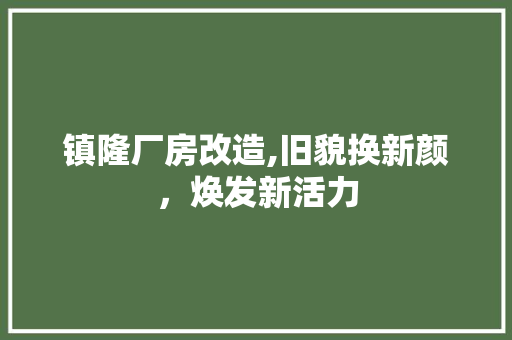 镇隆厂房改造,旧貌换新颜，焕发新活力