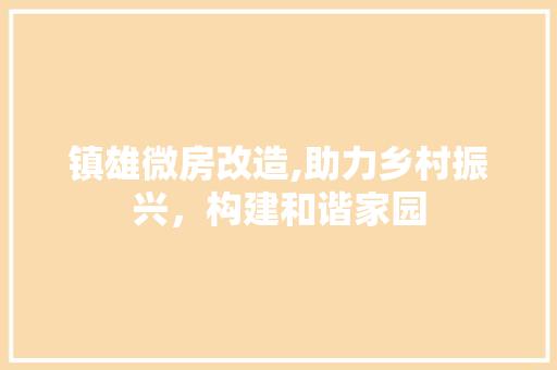 镇雄微房改造,助力乡村振兴，构建和谐家园